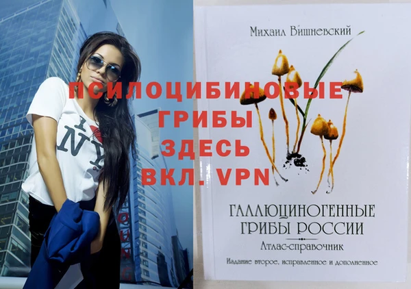 ECSTASY Алексеевка