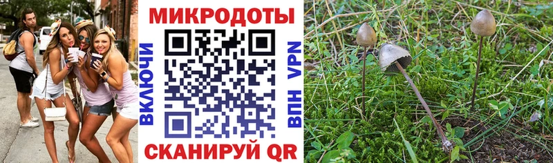 MEGA как войти  Ардон  Псилоцибиновые грибы ЛСД 